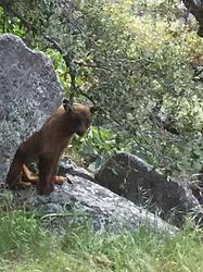 Central California Women's Backpacking and Hiking Group