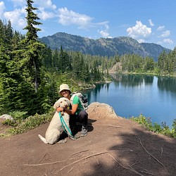 NarjisAbed NarjisAbed